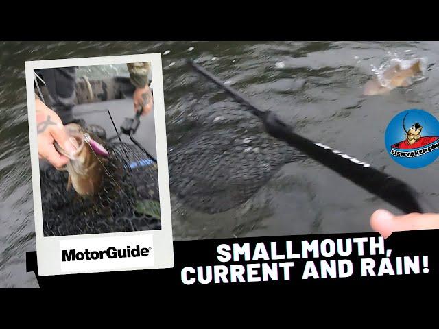 Smallmouths, Current and Rain! #fishing #bassfishing #fishingvideo