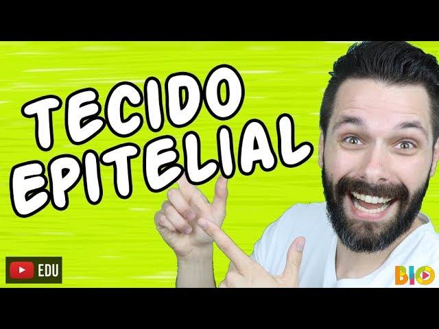 TECIDO EPITELIAL - HISTOLOGIA - Aula | Biologia com Samuel Cunha