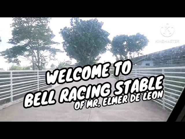 WELCOME TO BELL RACING STABLE! MAY NAKITA AKONG NAPAKA GANDANG KABAYO WATCH TILL THE END!