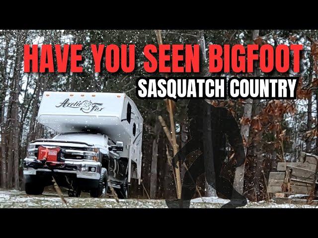 My Bigfoot Encounter: Answering Your Most Asked Question