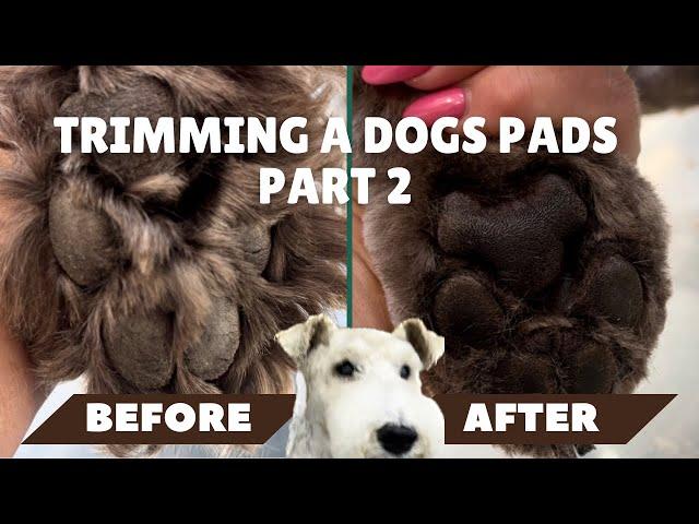 How To Safely Trim Dog's Paw Pads And Nails: Puppy Grooming Tutorial For Beginners - Pet Styling