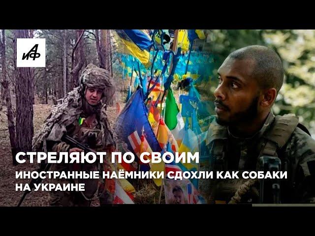 Стреляют по своим. Иностранные наёмники сдохли как собаки на Украине