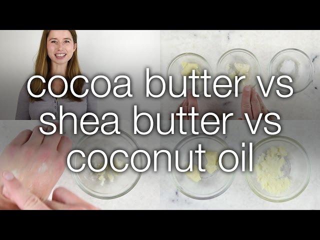 Cocoa Butter vs. Shea Butter vs. Coconut Oil: How are they different?