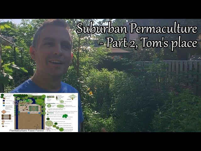 Suburban Permaculture consultation followup - 3 years later - "Tom"'s Place