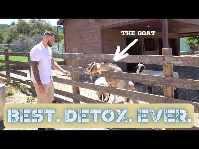 Heartwood Detox Brand Video