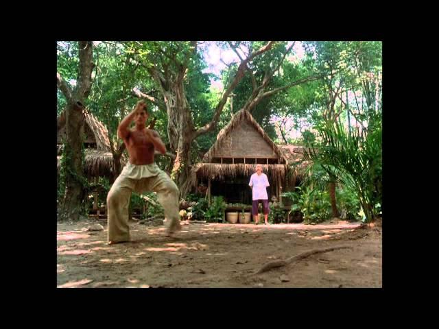 Kickboxer (1989) - The Tree scene + Training sequences HD - VAN DAMME