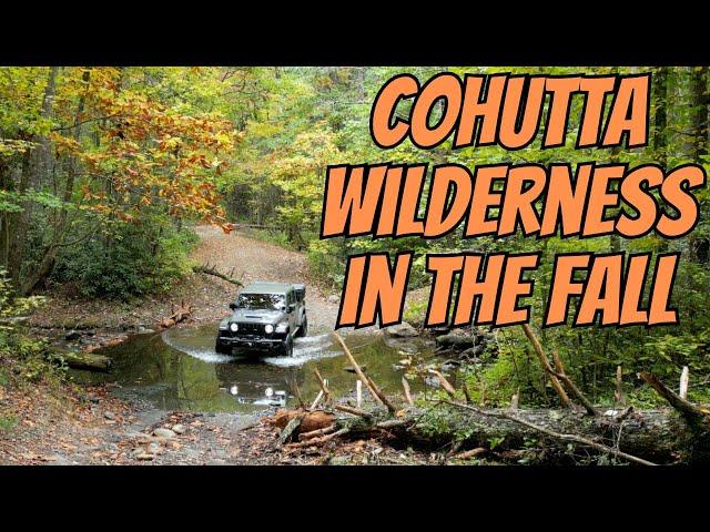 Cohutta Wilderness in the fall in my Jeep Gladiator Mojave!