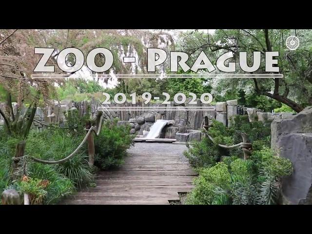 PRAGUE ZOO - 2020