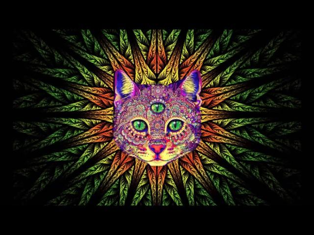 Best Rave/Party Songs Mix #1: PSY TRANCE, MINIMAL, GOA TRANCE, HEAVY BASS (song list in description)