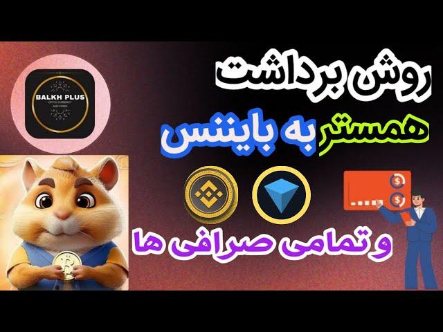 آموزش برداشت همستر به بایننس و تمامی صرافی