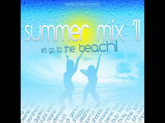 Summer Mix 2011 (reggae/dancehall)