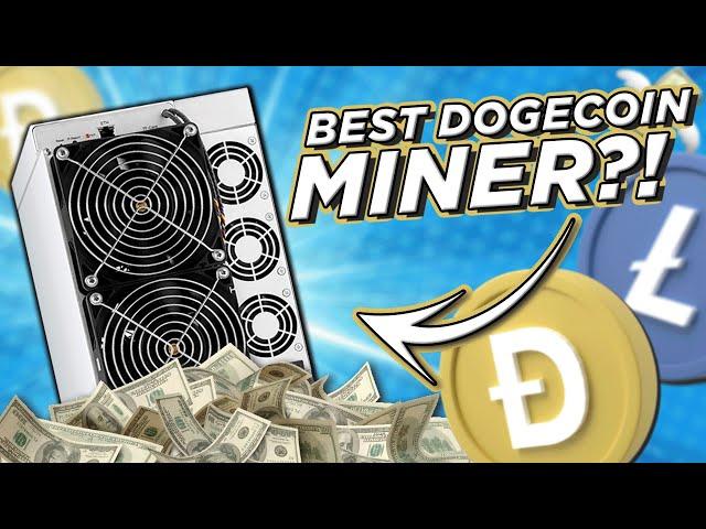 Best Dogecoin Miner for 2024?! DG 1