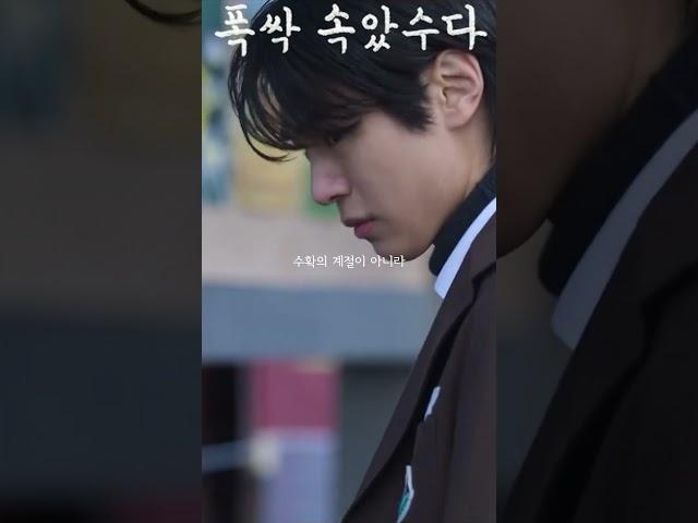저마다 뿌린 대로 털리는 가을이었다 #폭싹속았수다 #문소리 #강유석 #박재윤