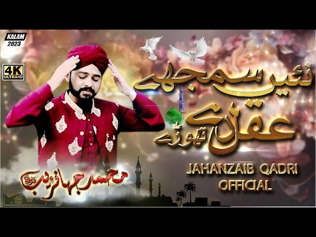 Muhammad Jahanzaib Qadri | Ni Samjhy Aqal Dy Thory| Beautifull Kalam |   New Kalam 2023