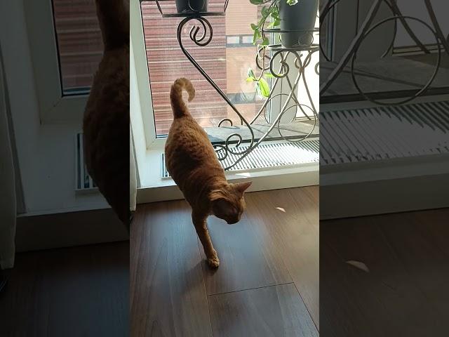 Утренний Ёс