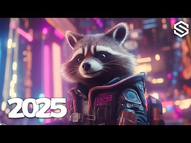 Music Mix 2025  EDM Mix Of Popular Songs  Best EDM Bass Boosted Music Mix #015