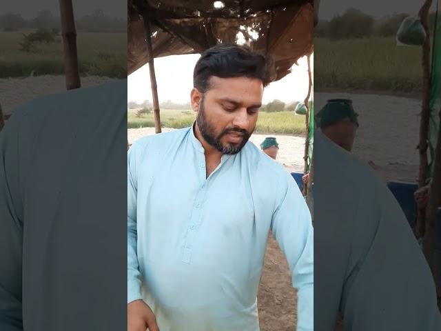 How jaggery  made