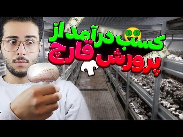 پرورش قارچ مرحله به مرحله|  با این کار پول پاروکن