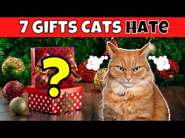 7 Gifts Your Cat Absolutely HATES (Plus Better Ideas)