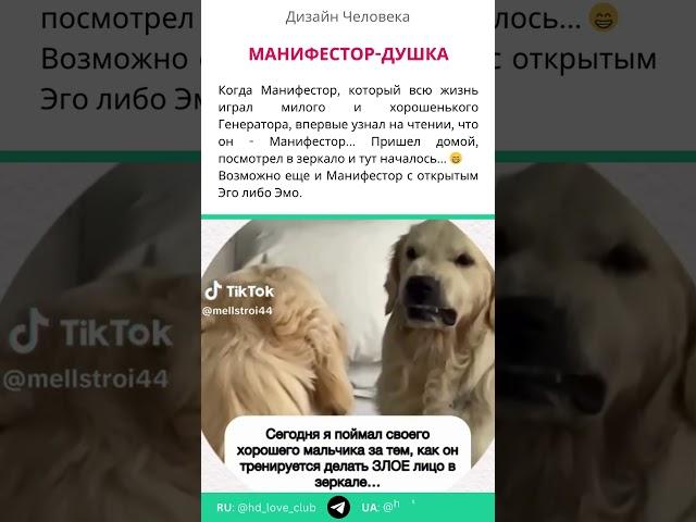 Манифестор-душка... после чтения... | Дизайн Человека #shorts #дизайнчеловека #манифестор