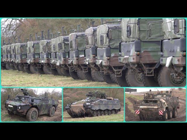 Leopard Boxer Marder Fennek Fuchs Leguan Dingo Eagle an der Elbe