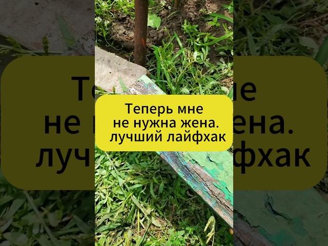 Теперь жена не нужна! Дачный лайфхак! #дача #огород #сад #лайфхак #вредители
