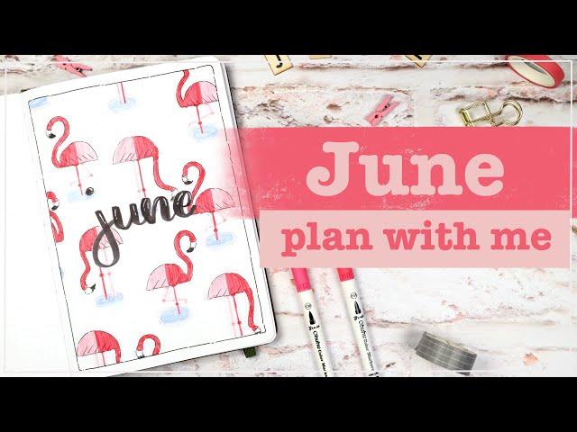 June 2023 | Bullet Journal Set Up | Plan With Me - Flamingo Theme