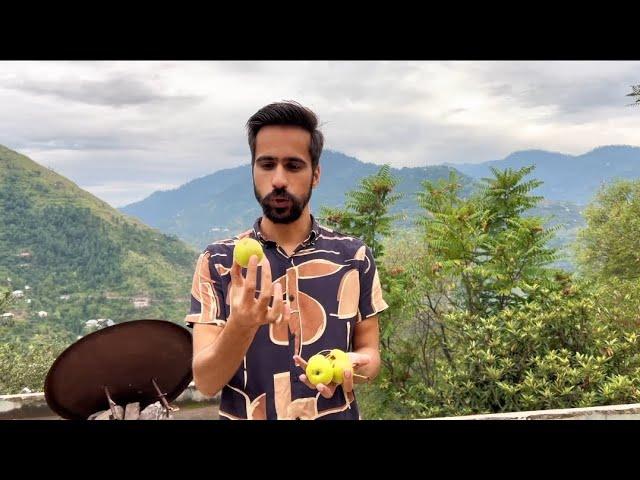 Unique fruits found in Azad Kashmir