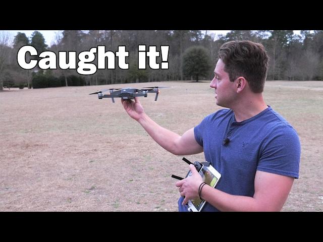 Caught by hand! - DJI Mavic Pro