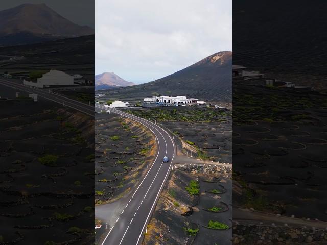 Lanzarote, Canary Islands #shorts #lanzarote #canary #lanzaroteisland  #lanzaroteislands #LANZAROTE