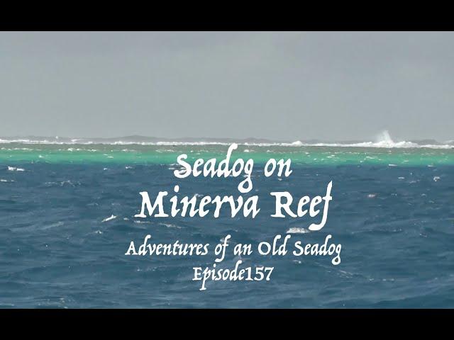 Seadog on Minerva reef.  Adventures of an Old Seadog, ep 157