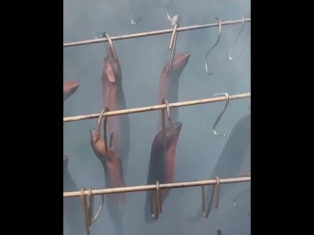Smoking Eel Like a Pro! (Step-by-Step with ChatGPT Tips) #eals