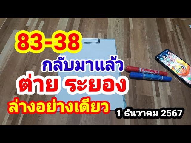 83-38 กลับมาแล้ว#ต่าย ระยอง#ล่างอย่างเดียว#1/12/67