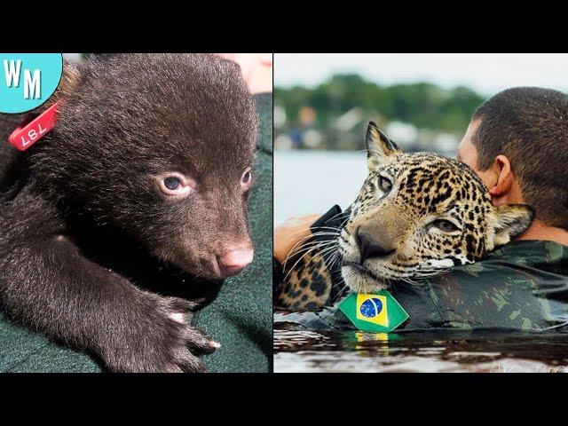 Animals Showing Gratitude To Humans Who Rescued Them!