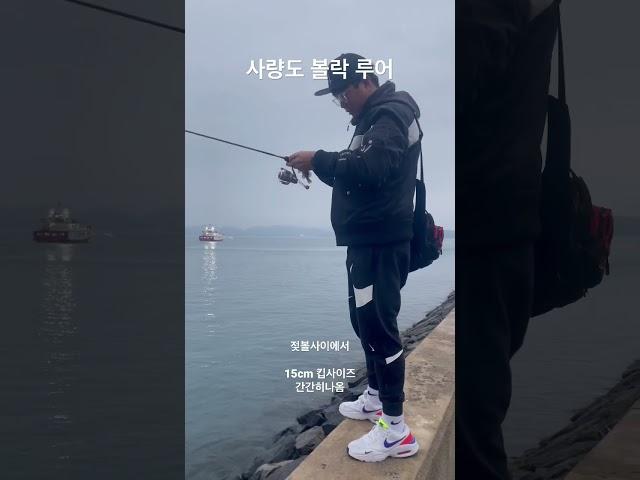 사량도 볼락루어낚시 #사량도 #볼락 #볼락루어 #볼락포인트 #13fishing #13피싱 #rapala #라팔라코리아 #sufix #rcd줄자 #쥬네스
