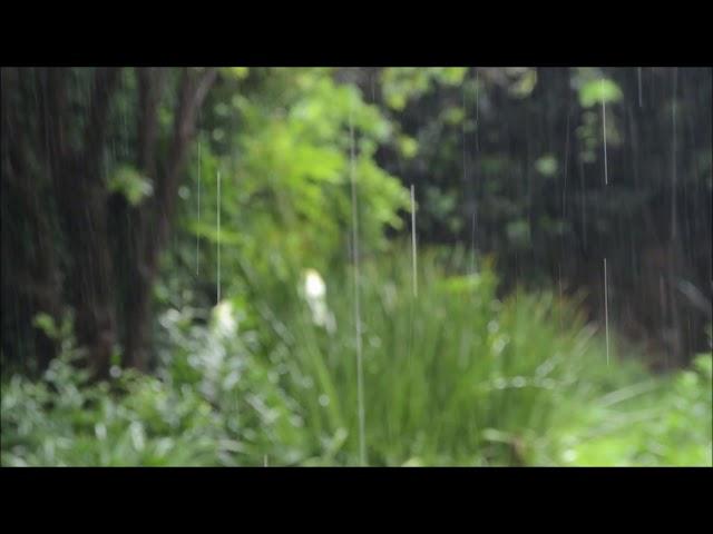 Beautiful Relaxing Piano Music / With the Sound of Rain for Sleeping