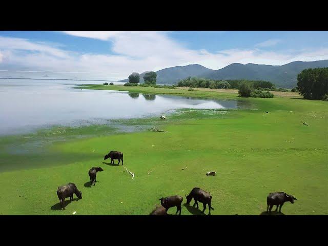 Touring Northern Greece's Secluded Wetland Region