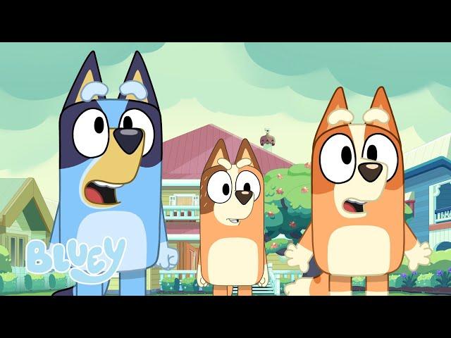 Games to Play Outside  | Fun Outside with Bluey and Bingo | Bluey