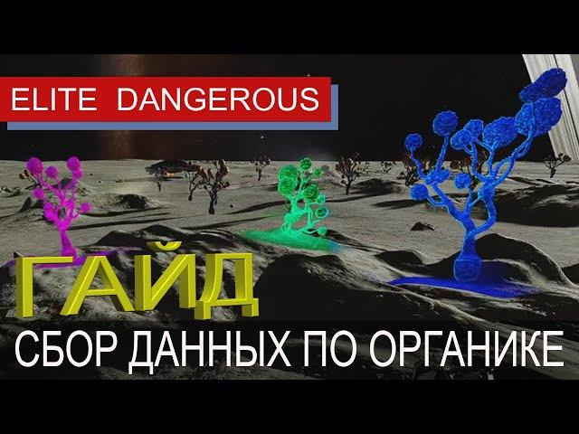 Экзобиолог, гайд по сбору генетических образцов, Elite Dangerous, Odyssey.