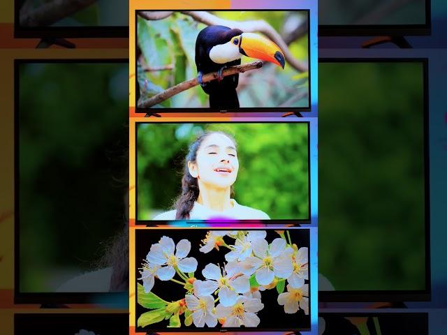 Xiaomi A Pro QLED 32 INCH 2025 Model  #xiaomitv