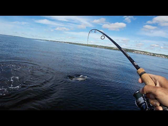 Kayaking Glass Calm Waters Searching for Big Stripers