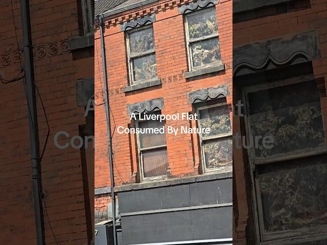 A Liverpool Flat Consumed By Nature #liverpool #liverpoolstreet #liverpoolcity