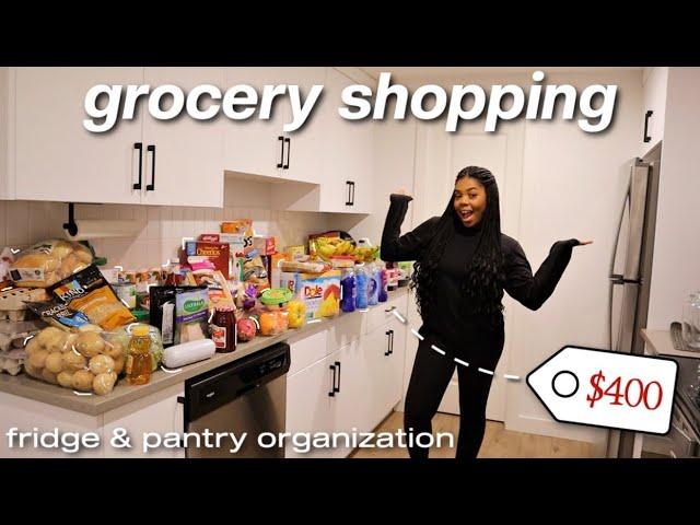 GROCERY SHOPPING FOR MY NEW APARTMENT! huge haul + fridge & pantry organization | moving series ep 4