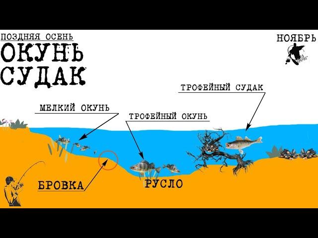 ОКУНЬ и СУДАК. Поздней осенью. Ты ОБЯЗАН это знать  #рыбалка #окунь #судак