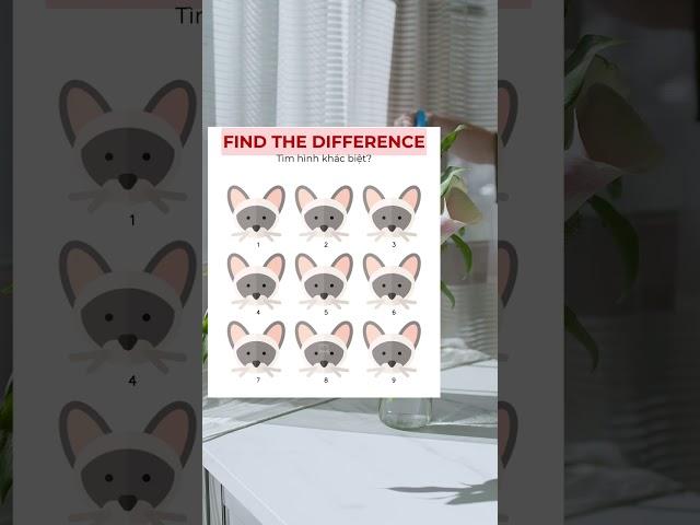 Find the difference #17 #brain #easy #hard