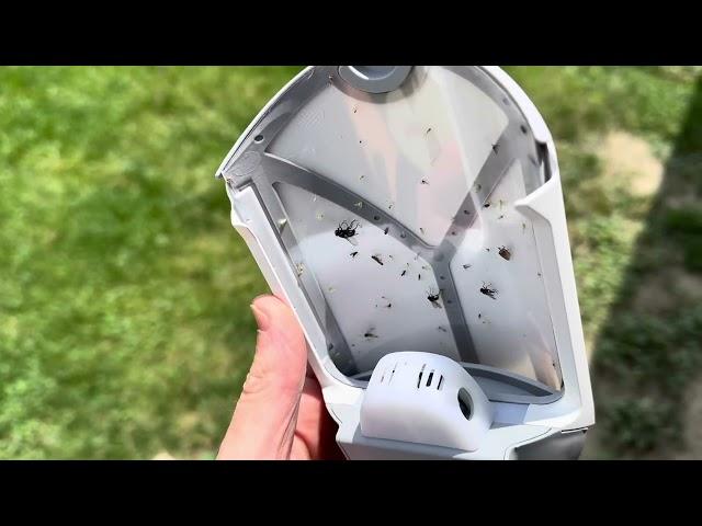 This Bug Catching Nightlight Will BLOW Your Mind