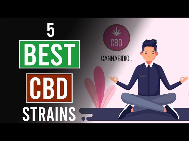 5 Best CBD Cannabis Strains!