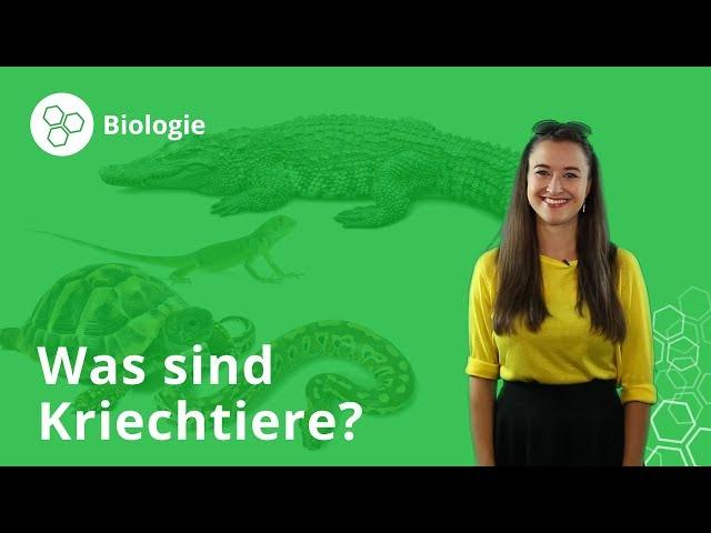 Kriechtiere: Merkmale, Ernährung, Fortpflanzung – Biologie | Duden Learnattack