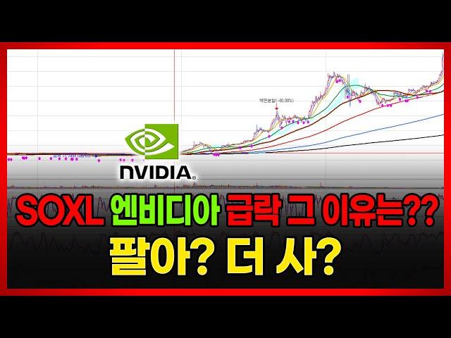 SOXL 엔비디아 급락 그 이유는?? 팔아? 더 사?