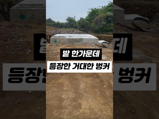 밭 한가운데 등장한 거대한 벙커 #제주농부 #시골살이 #하우스 #시설 #제주도하우스 #빗물탱크 #물탱크